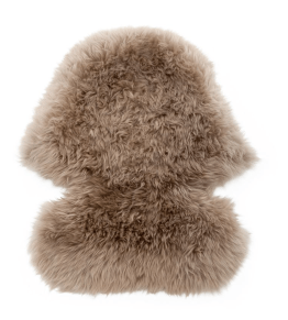 Screen Shot 2017-11-10 at 9.20.34 AM