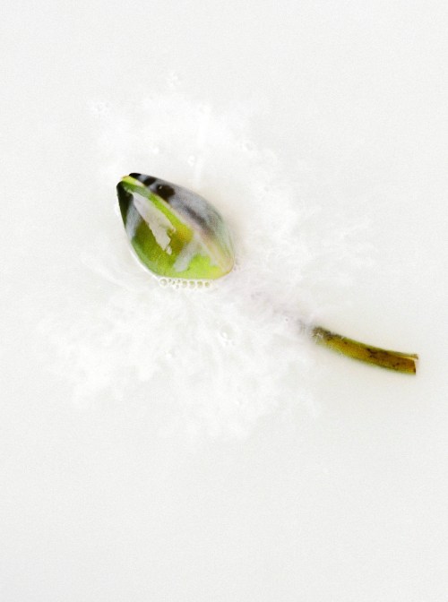 curved_lines_submission-33