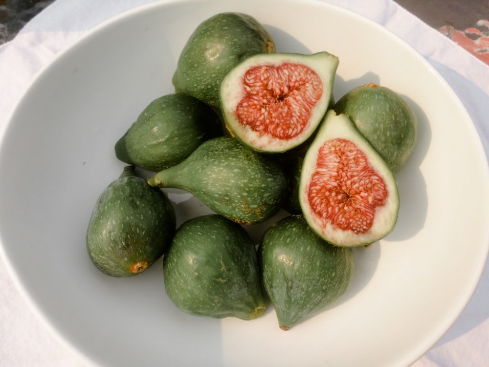 20170805_102124-1024x768