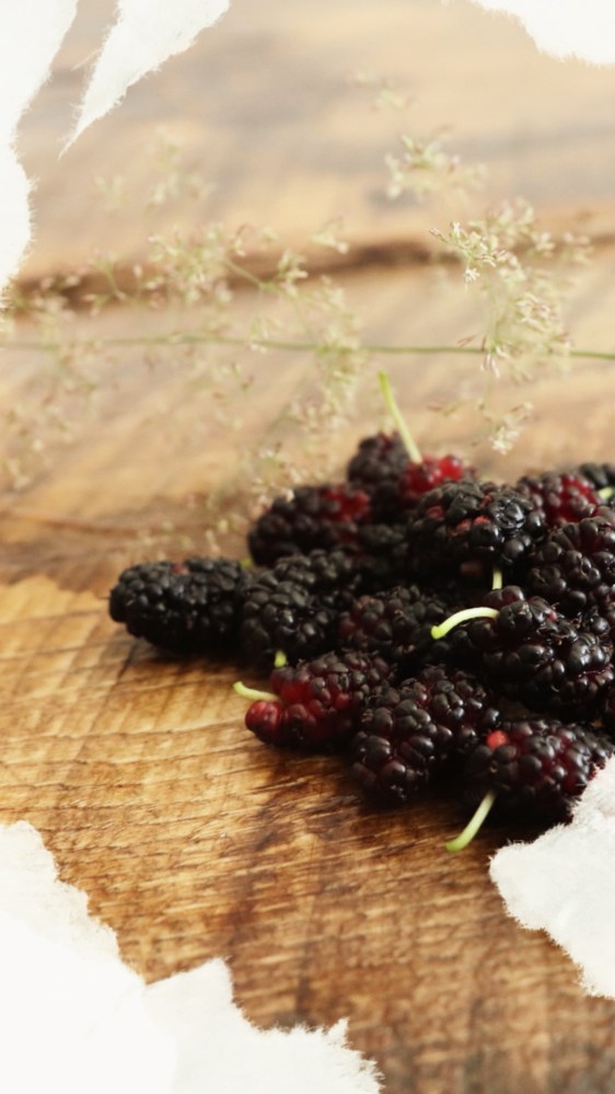 IMG_0753_Facetune_31-08-2019-20-58-34